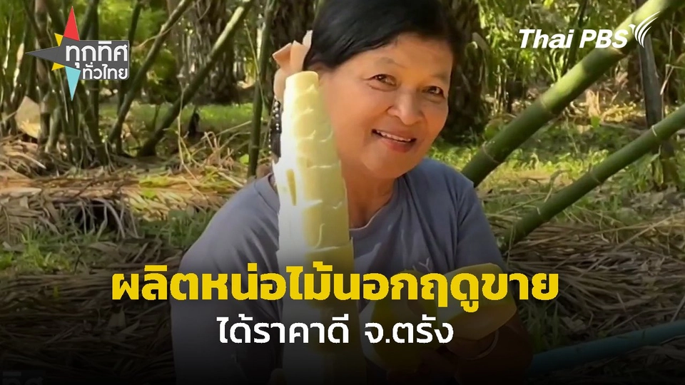 ผลิตหน่อไม้นอกฤดูขายได้ราคาดี จ.ตรัง