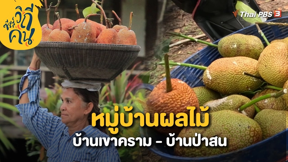 หมู่บ้านผลไม้ บ้านเขาคราม - บ้านป่าสน