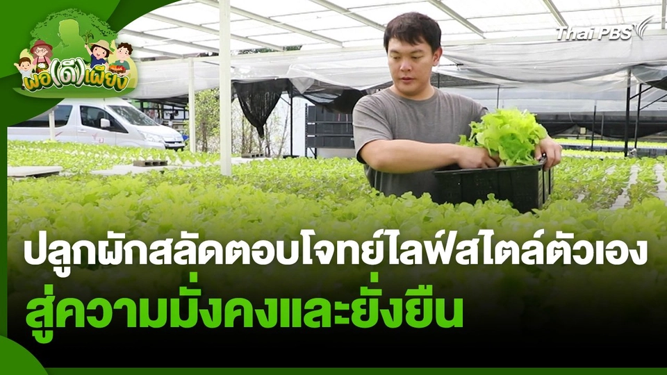 พอดีพอเพียง : ปลูกผักสลัดตอบโจทย์ไลฟ์สไตล์ตัวเอง สู่ความมั่งคงและยั่งยืน