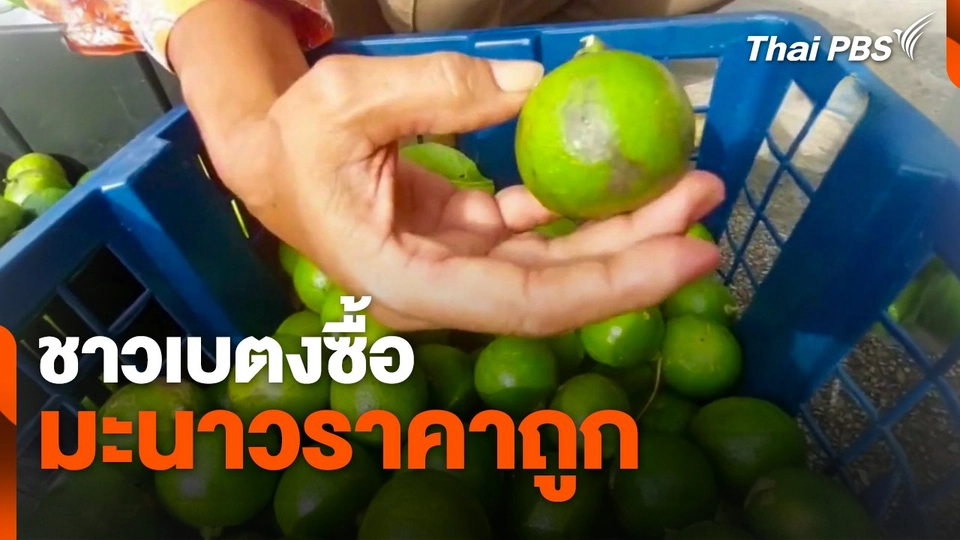 ชาวเบตงซื้อ "มะนาว" ราคาถูก