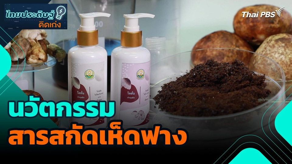 ไทยประดิษฐ์คิดเก่ง : นวัตกรรมสารสกัดเห็ดฟาง