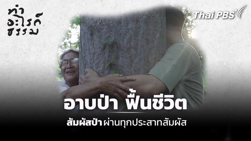 ตอน : อาบป่า ฟื้นชีวิต