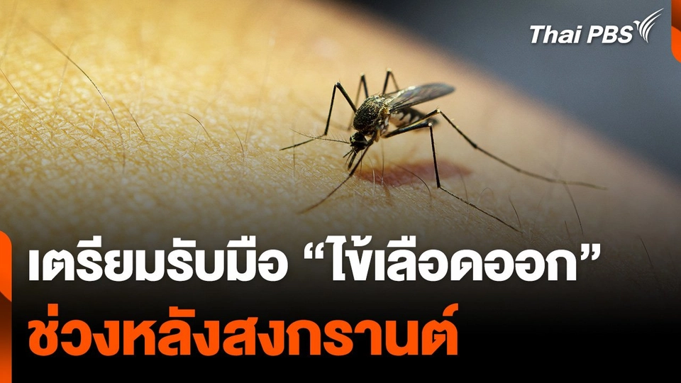 เตรียมรับมือ “ไข้เลือดออก” ช่วงหลังสงกรานต์