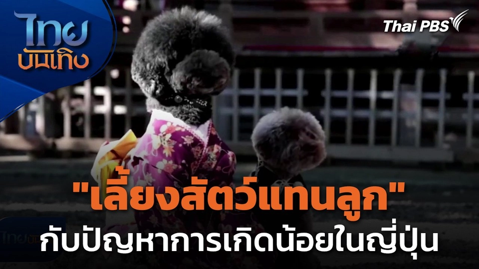 แลโลกเห็นเรา : เลี้ยงสัตว์แทนลูก กับปัญหาการเกิดน้อยในญี่ปุ่น