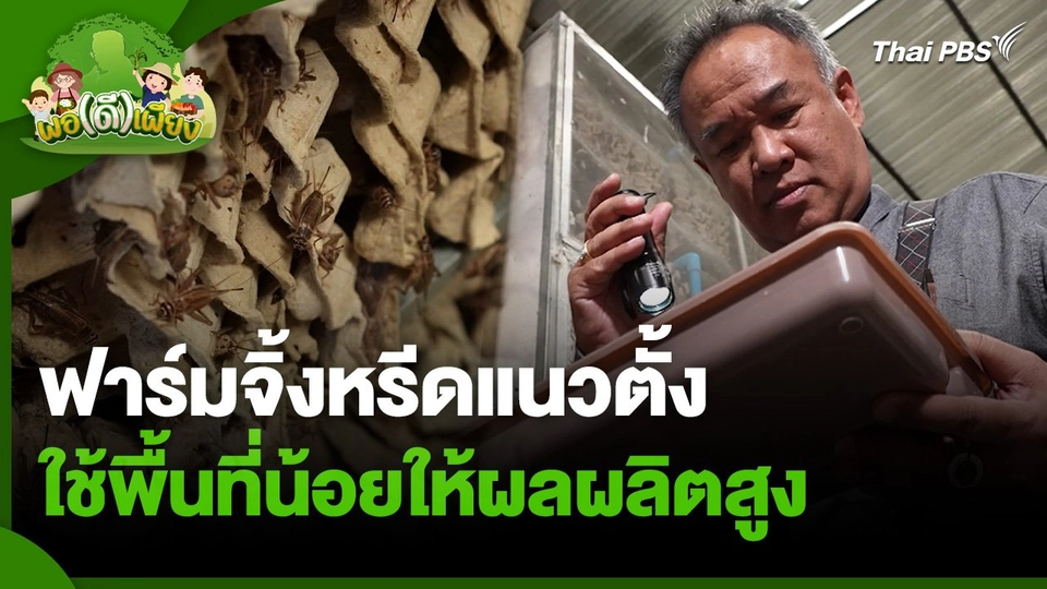 พอดีพอเพียง : ฟาร์มจิ้งหรีดแนวตั้ง ใช้พื้นที่น้อยให้ผลผลิตสูง