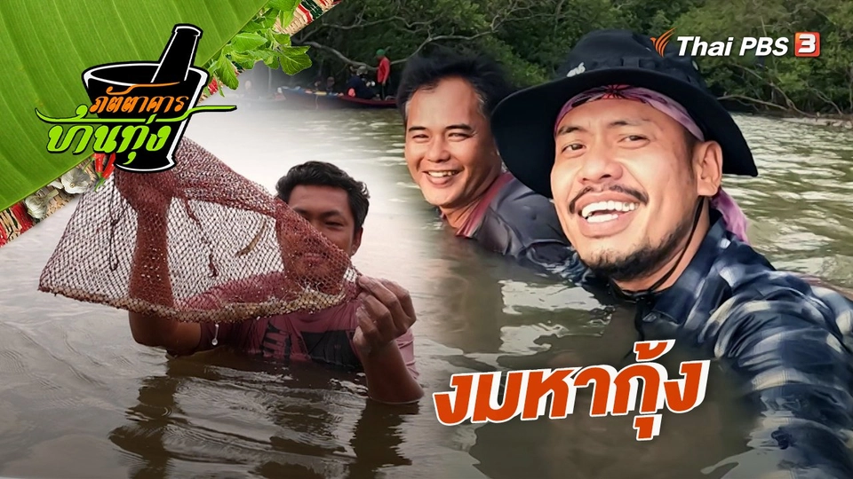 คลิปบ้านทุ่ง : งมหากุ้ง