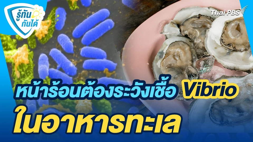 รู้ทันกันได้ : หน้าร้อน ต้องระวัง เชื้อ Vibrio ในอาหารทะเล