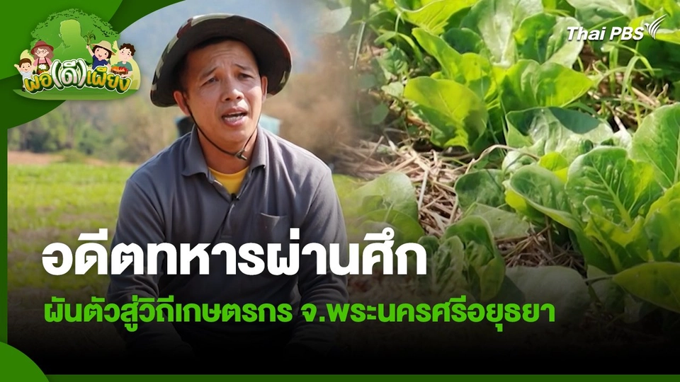 พอดีพอเพียง : อดีตทหารผ่านศึกผันตัวสู่วิถีเกษตรกร จ.พระนครศรีอยุธยา