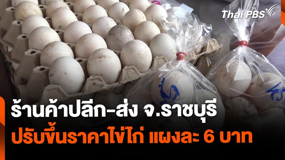 ร้านค้าปลีก-ส่ง จ.ราชบุรี ปรับขึ้นราคาไข่ไก่แผงละ 6 บาท
