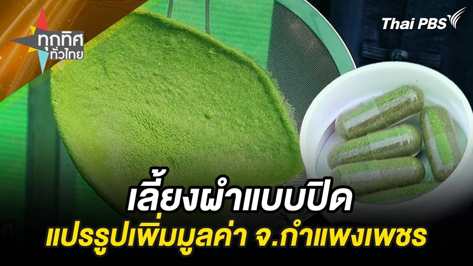 “ผำ” อีกตัวเลือกเพื่อสุขภาพ เลี้ยง-แปรรูปเพิ่มมูลค่า