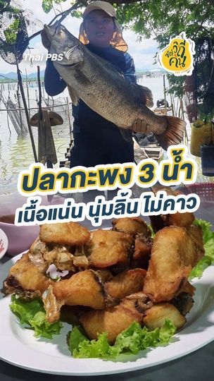 "ปลากะพง 3 น้ำ เนื้อแน่น นุ่มลิ้น ไม่คาว