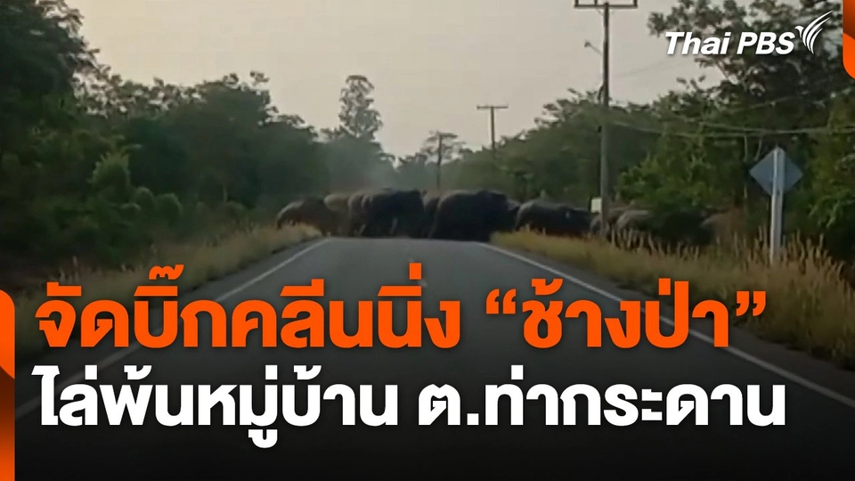 จัดบิ๊กคลีนนิ่ง "ช้างป่า" ไล่พ้นหมู่บ้าน ต.ท่ากระดาน จ.ฉะเชิงเทรา