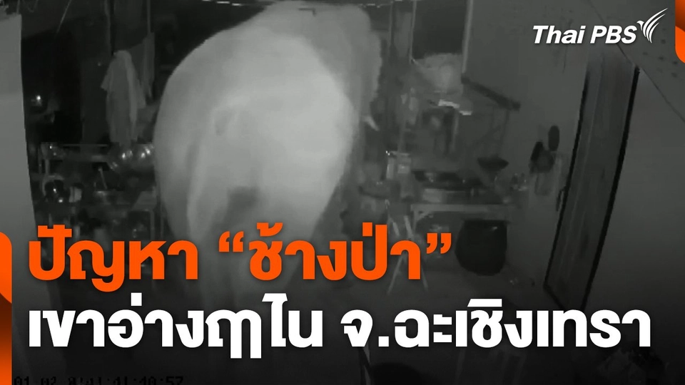 เจาะลึก ! ปัญหา "ช้างป่า" เขาอ่างฤาไน จ.ฉะเชิงเทรา