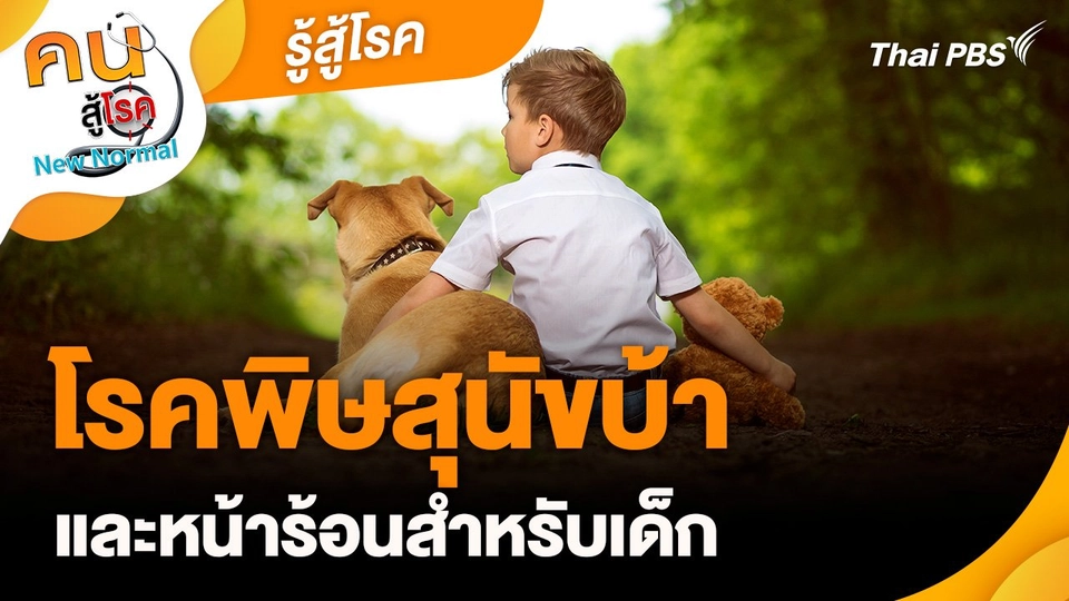 รู้สู้โรค : โรคพิษสุนัขบ้าและหน้าร้อนสำหรับเด็ก