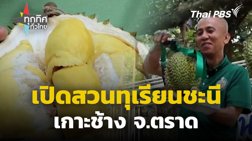 เปิดสวนทุเรียนดีชะนีเกาะช้าง จ.ตราด