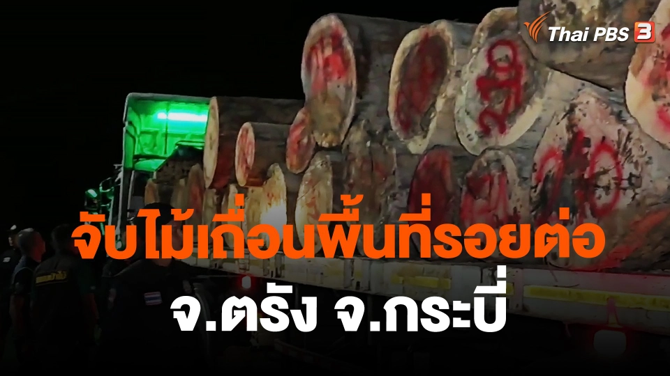 จับไม้เถื่อนพื้นที่รอยต่อ จ.ตรัง จ.กระบี่