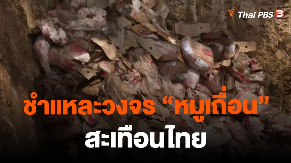ชำแหละวงจร “หมูเถื่อน” สะเทือนไทย