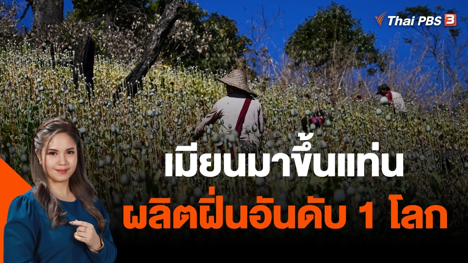 เมียนมาขึ้นแท่นผลิตฝิ่นอันดับ 1 โลกแซงอัฟกานิสถาน
