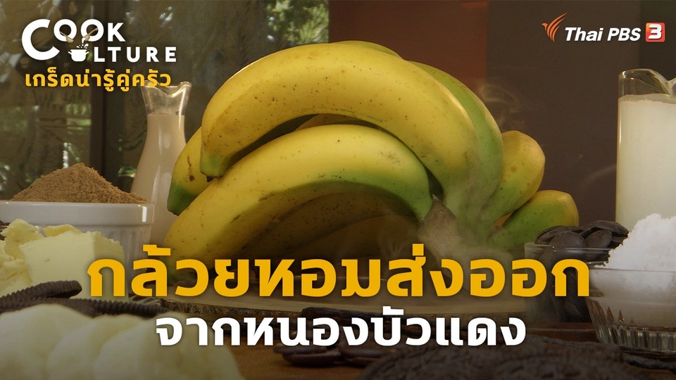 เกร็ดน่ารู้คู่ครัว : กล้วยหอมส่งออก จากหนองบัวแดง