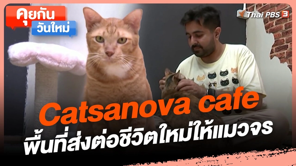 ​คุยกันวันใหม่ : Catsanova cafe พื้นที่ส่งต่อชีวิตใหม่ให้แมวจร
