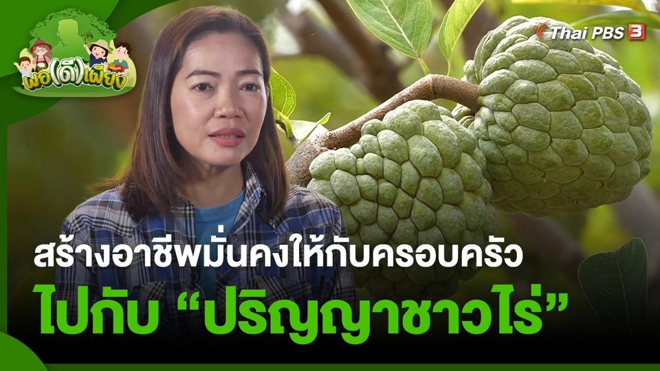 ​พอดีพอเพียง : สร้างอาชีพมั่นคงให้กับครอบครัวไปกับ "ปริญญาชาวไร่"