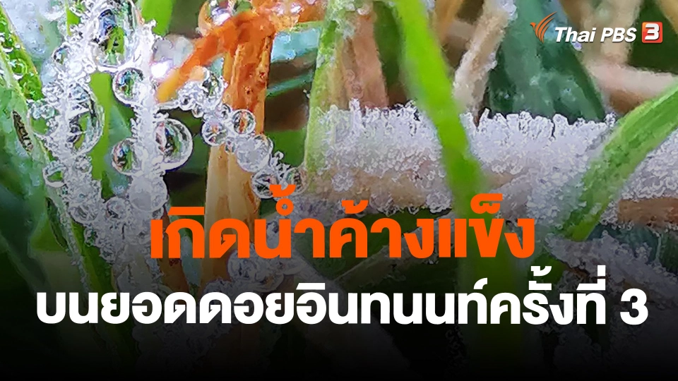 เกิดน้ำค้างแข็งบนยอดดอยอินทนนท์ครั้งที่ 3