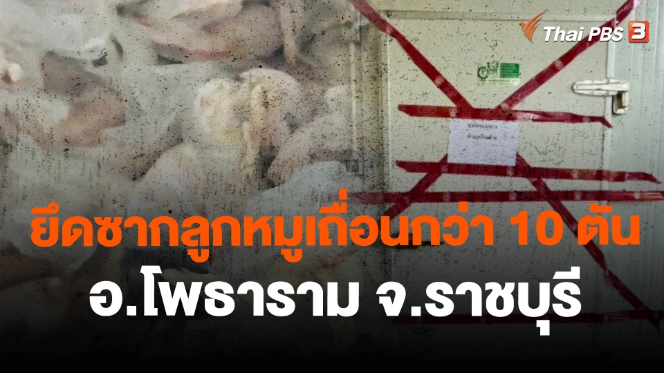 ยึดซากลูกหมูเถื่อนกว่า 10 ตัน อ.โพธาราม จ.ราชบุรี