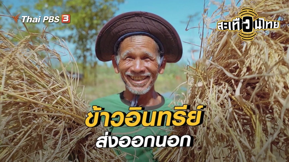 ​นักสร้างความเปลี่ยนแปลง : ข้าวอินทรีย์ส่งออกนอก