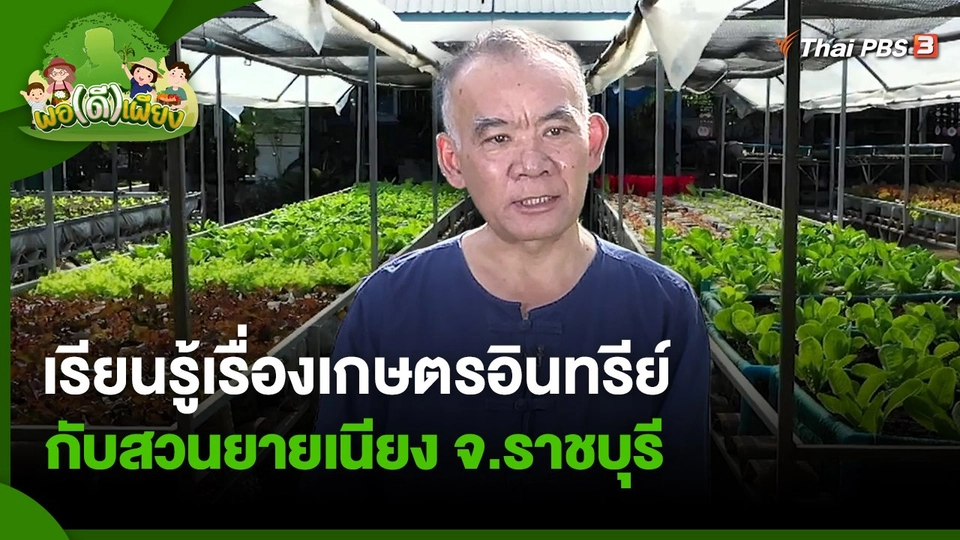 พอดีพอเพียง : เรียนรู้เรื่องเกษตรอินทรีย์กับสวนยายเนียง จ.ราชบุรี