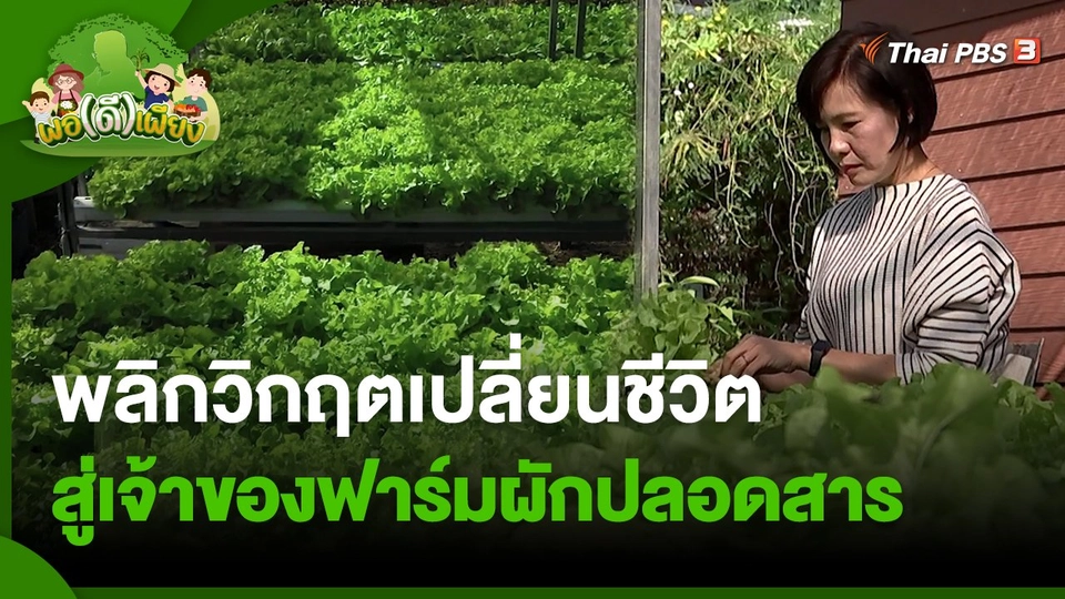 พอดีพอเพียง : พลิกวิกฤตเปลี่ยนชีวิตสู่เจ้าของฟาร์มผักปลอดสาร