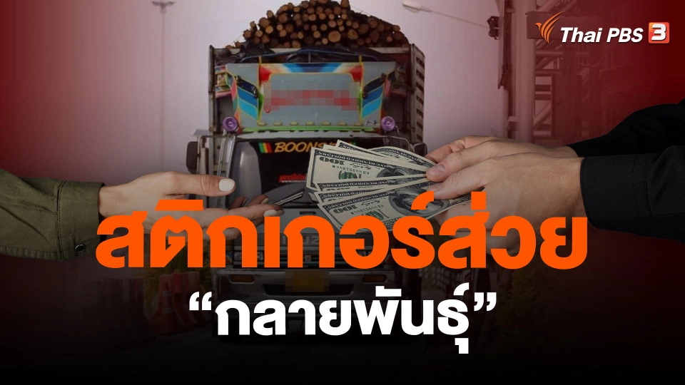 ​ข่าวที่สุดแห่งปี 2566 : สติกเกอร์ส่วย "กลายพันธุ์"