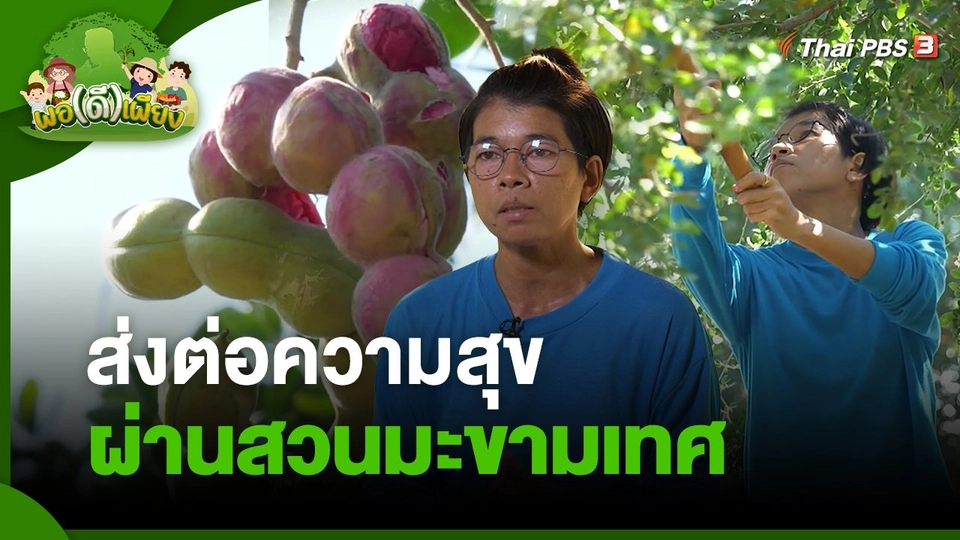 พอดีพอเพียง : ส่งต่อความสุข ผ่านสวนมะขามเทศ