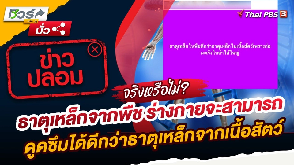 ชัวร์หรือมั่ว : ข่าวปลอม!! ธาตุเหล็กจากพืช ร่างกายจะสามารถดูดซึมได้ดีกว่าธาตุเหล็กจากเนื้อสัตว์