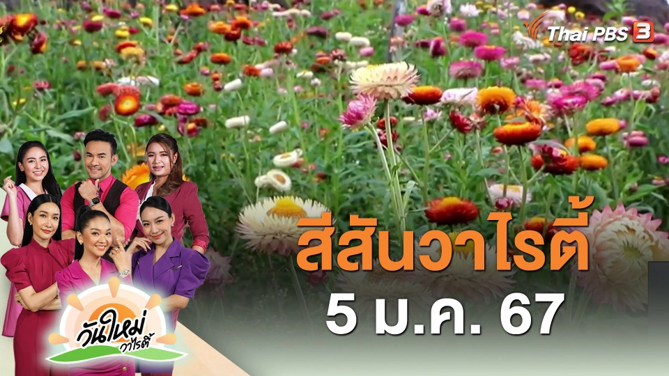 สีสันวาไรตี้ (5 ม.ค. 67)