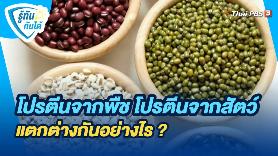 รู้ทันกันได้ :  โปรตีนจากพืช โปรตีนจากสัตว์ แตกต่างกันอย่างไร ?