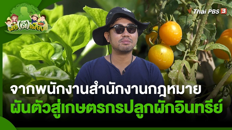 พอดีพอเพียง : จากพนักงานสำนักงานกฎหมาย ผันตัวสู่เกษตรกรปลูกผักอินทรีย์