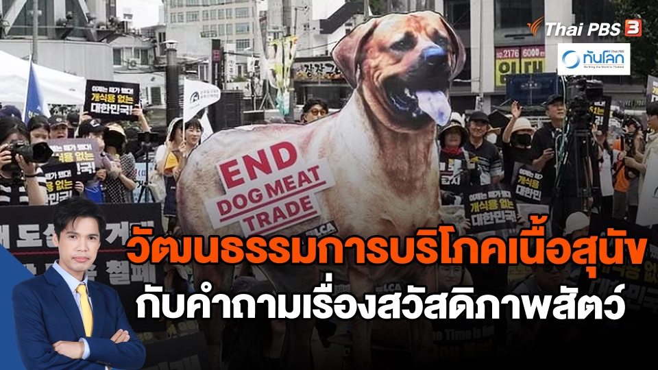 วัฒนธรรมการบริโภคเนื้อสุนัข กับคำถามเรื่องสวัสดิภาพสัตว์