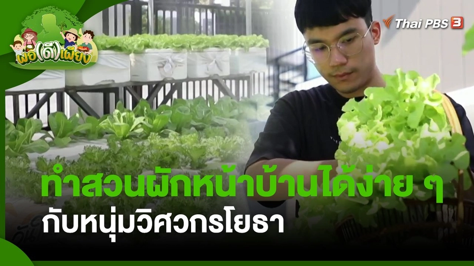 พอดีพอเพียง : ทำสวนผักหน้าบ้านได้ง่าย ๆ กับหนุ่มวิศวกรโยธา