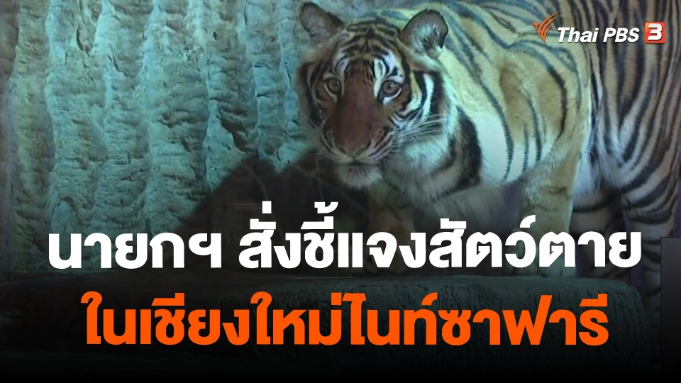 ​นายกฯ สั่งชี้แจงสัตว์ตายในเชียงใหม่ไนท์ซาฟารี