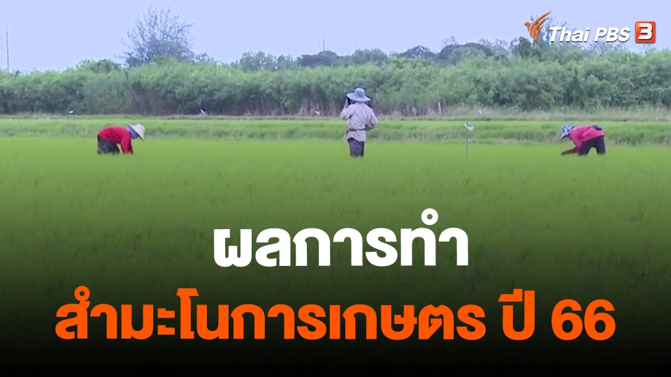 ​จับสัญญาณเศรษฐกิจ : ผลการทำสำมะโนการเกษตร ปี 66