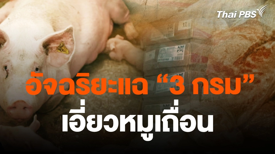อัจฉริยะแฉ "3 กรม" เอี่ยวหมูเถื่อน