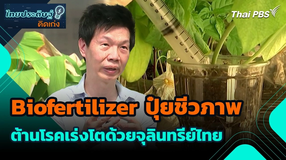 ​ไทยประดิษฐ์คิดเก่ง : Biofertilizer ปุ๋ยชีวภาพ ต้านโรคเร่งโตด้วยจุลินทรีย์ไทย