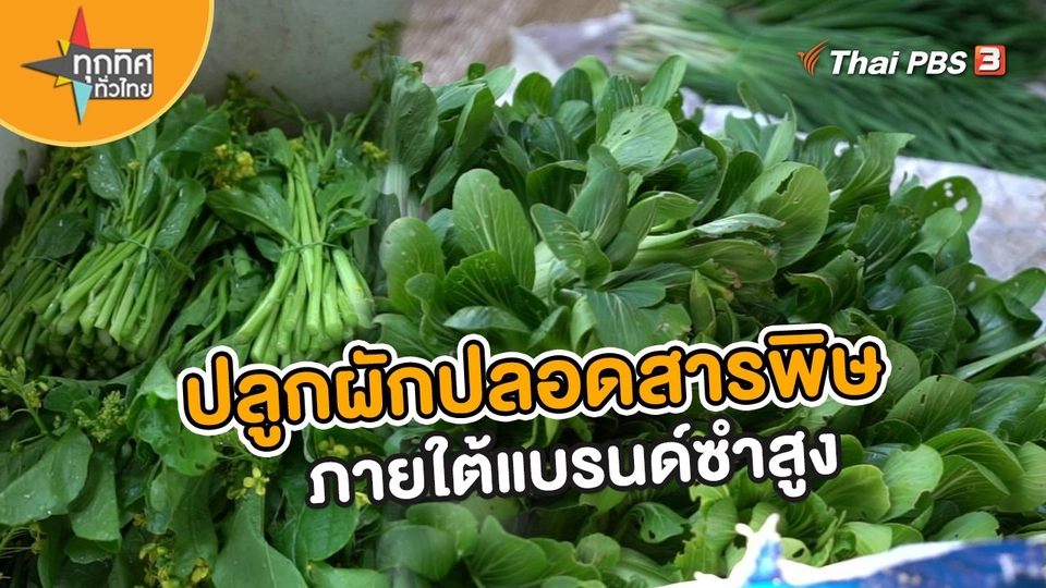 อาชีพทั่วไทย : ปลูกผักปลอดสารพิษภายใต้แบรนด์ซำสูง