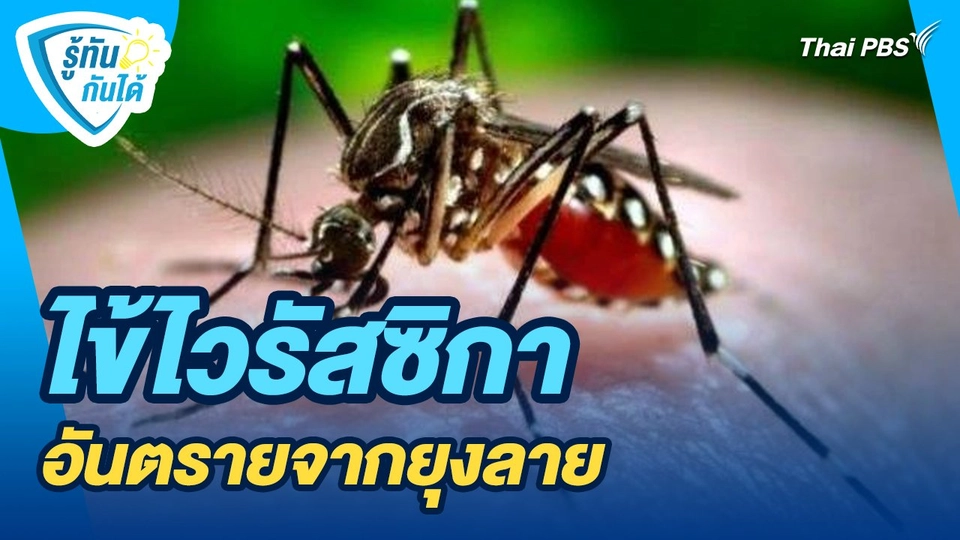 ​รู้ทันกันได้ : ไข้ไวรัสซิกา อันตรายจากยุงลาย