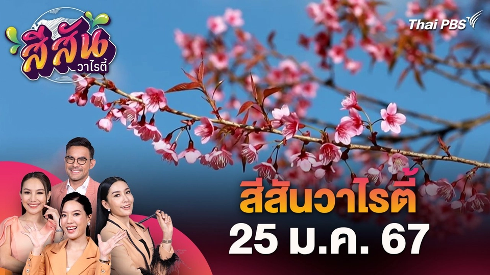 ​สีสันวาไรตี้ (25 ม.ค. 67)