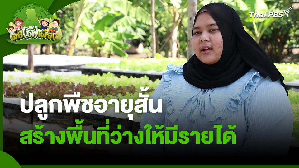 ​พอดีพอเพียง : ปลูกพืชอายุสั้น สร้างพื้นที่ว่างให้มีรายได้
