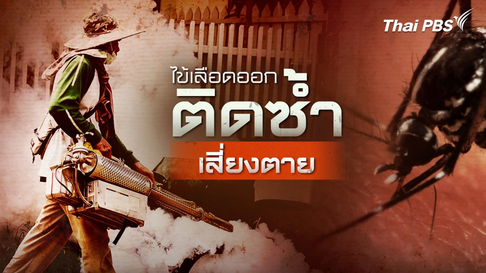 กรมควบคุมโรคคาดไข้เลือดออกระบาดหนัก