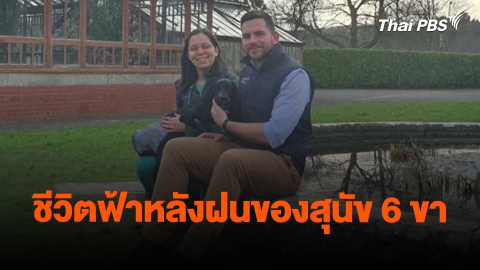 ​ชีวิตฟ้าหลังฝนของสุนัข 6 ขา