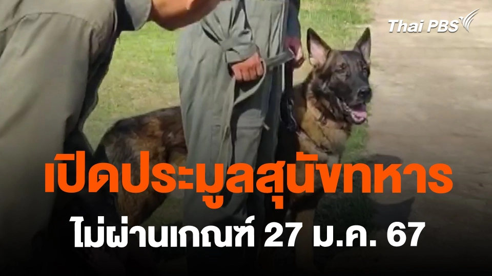​เปิดประมูลสุนัขทหารไม่ผ่านเกณฑ์ 27 ม.ค. 67