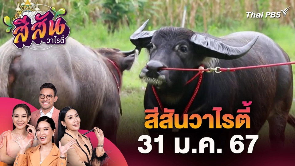 สีสันวาไรตี้ (31 ม.ค. 67)